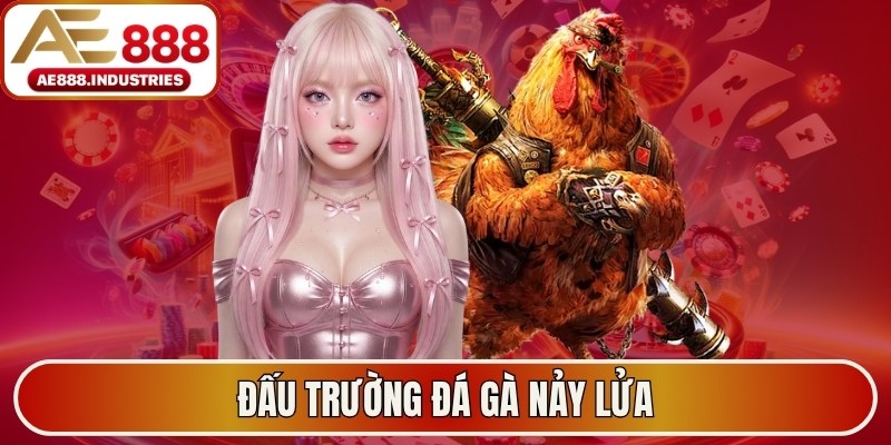 Đấu trường đá gà nảy lửa